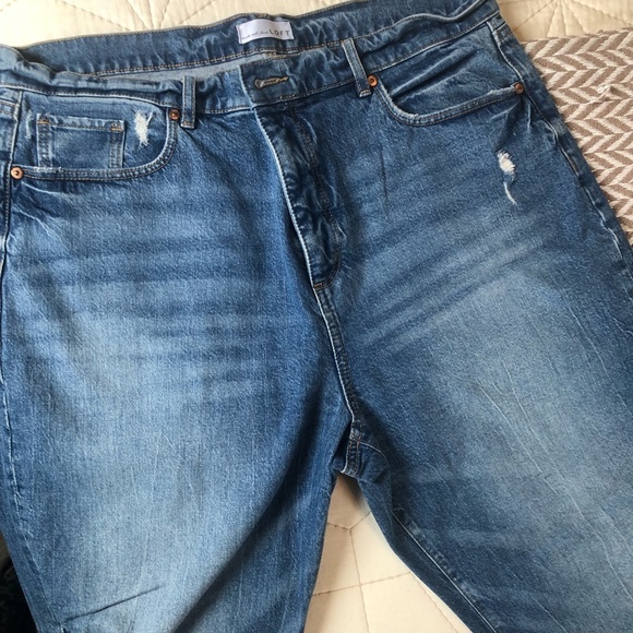 LOFT High Rise Straight Crop - Picture 2 of 4